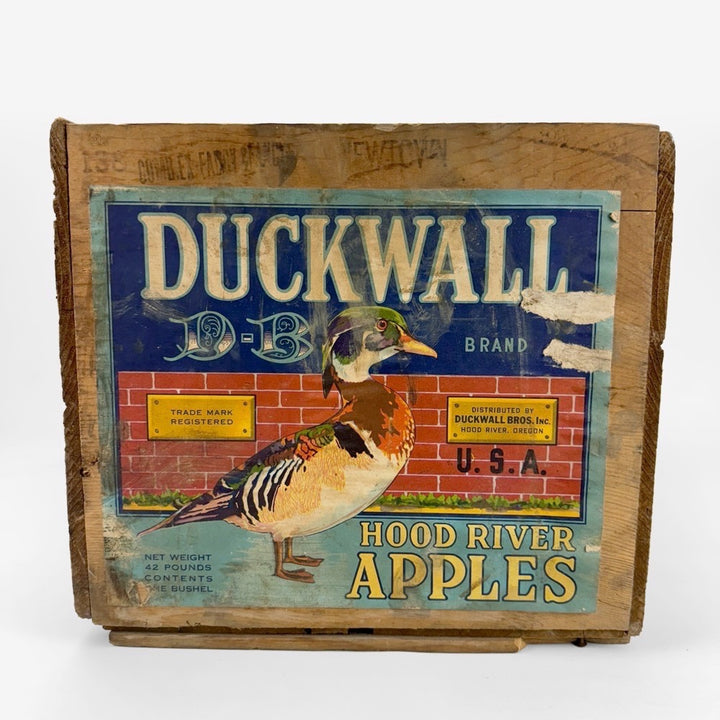 Caisse à pommes Duckwall USA années 50